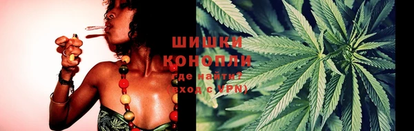 дживик Кинешма