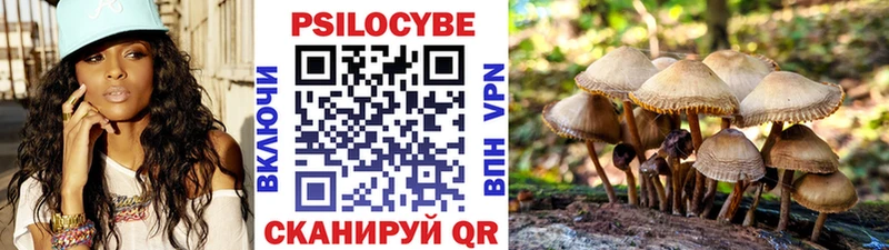 Купить где  Багратионовск  Галлюциногенные грибы MAGIC MUSHROOMS 